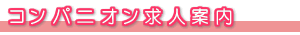 ����f���w�����l/�A���o�C�g��W