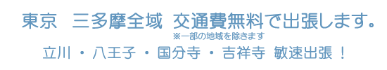 �f���w���o���G���A ��ʔ��