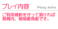 �v���C�T�[�r�X���e